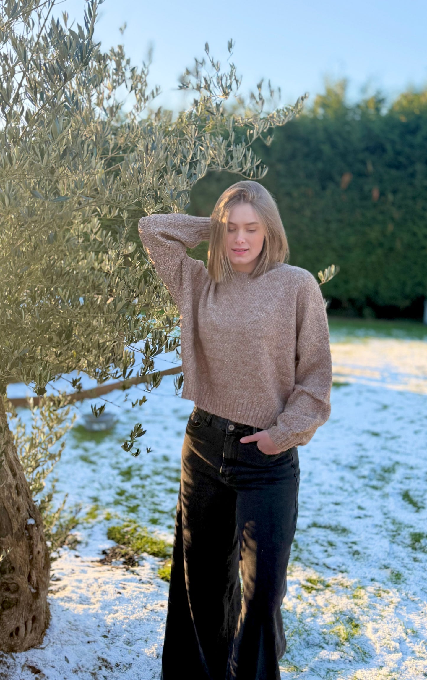 Pull Provence ❄️