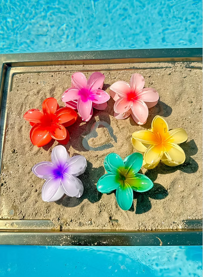 Pince Miami Beach orange