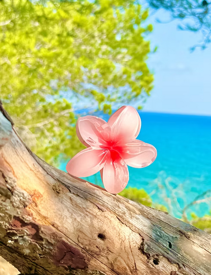 Pince Miami Beach Rose clair