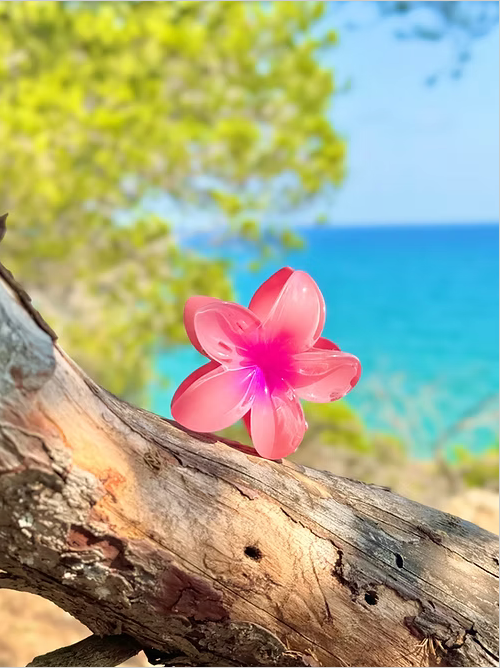 Pince Miami Beach Rose foncé