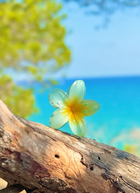 pince Miami Beach Turquoise