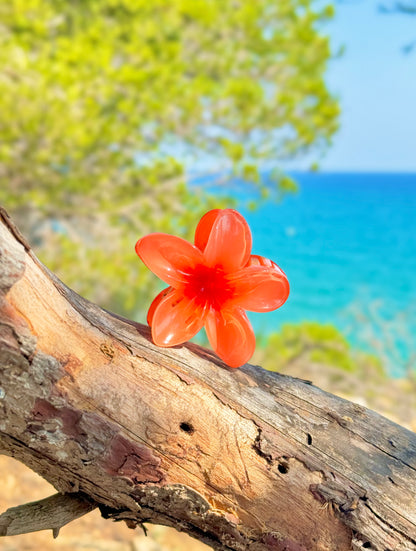 Pince Miami Beach orange