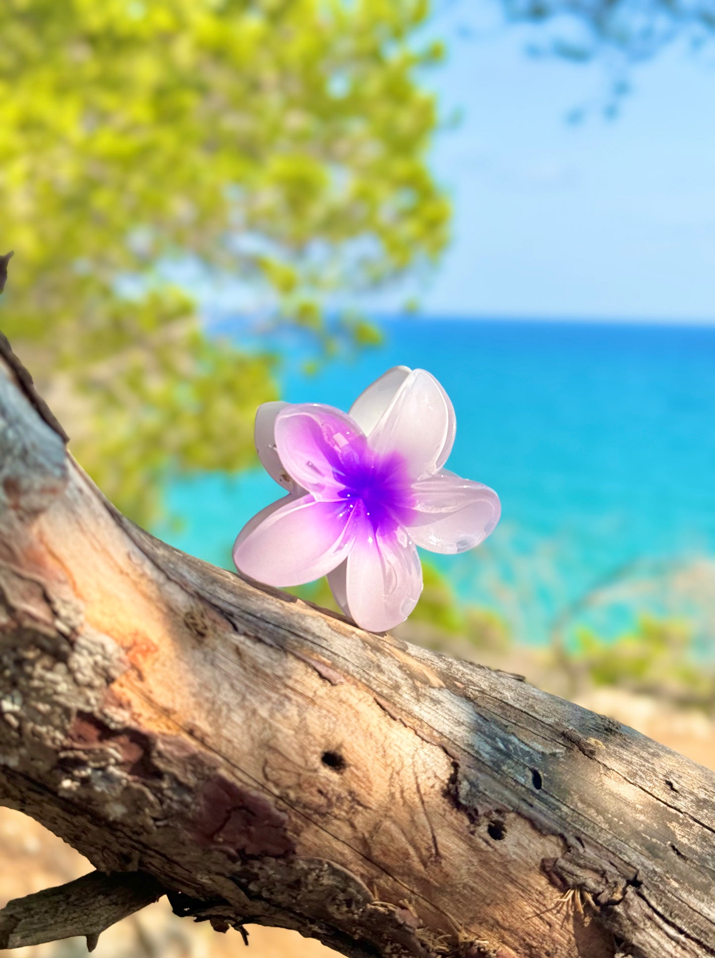 Pince Miami Beach violette